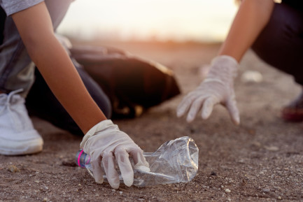 People picking up plastic on the beach