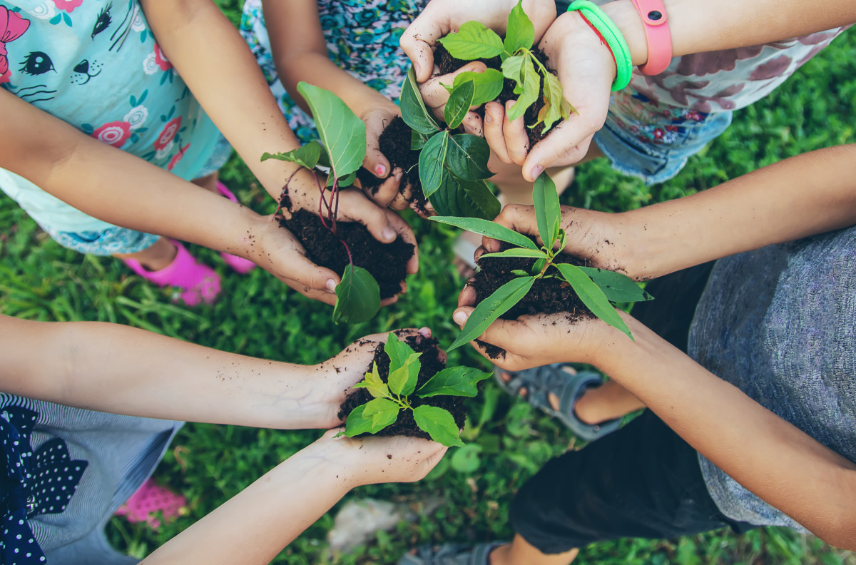 Hands in a circle holding a plant