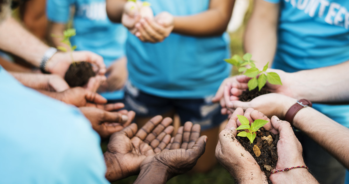 People around in a circle holding plants