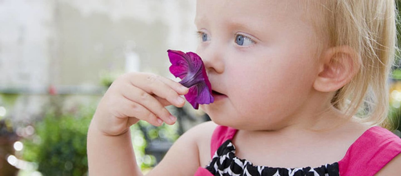 A young girl sniffing a purple flower.