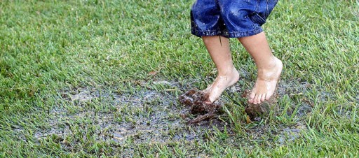 A child jumping barefoot in a muddy puddle.