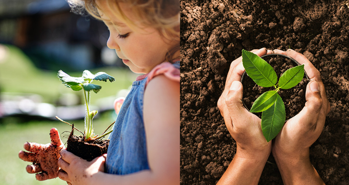 A side by side of a girl planting a plant in the ground