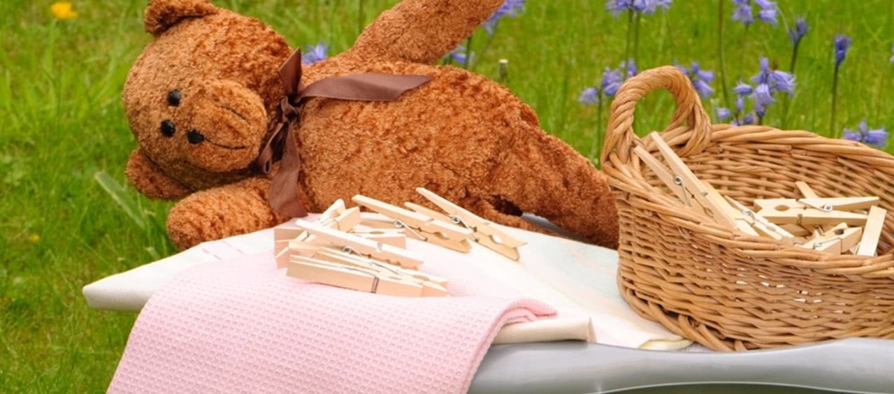 A teddy bear, laundry and clothes pegs in a garden.