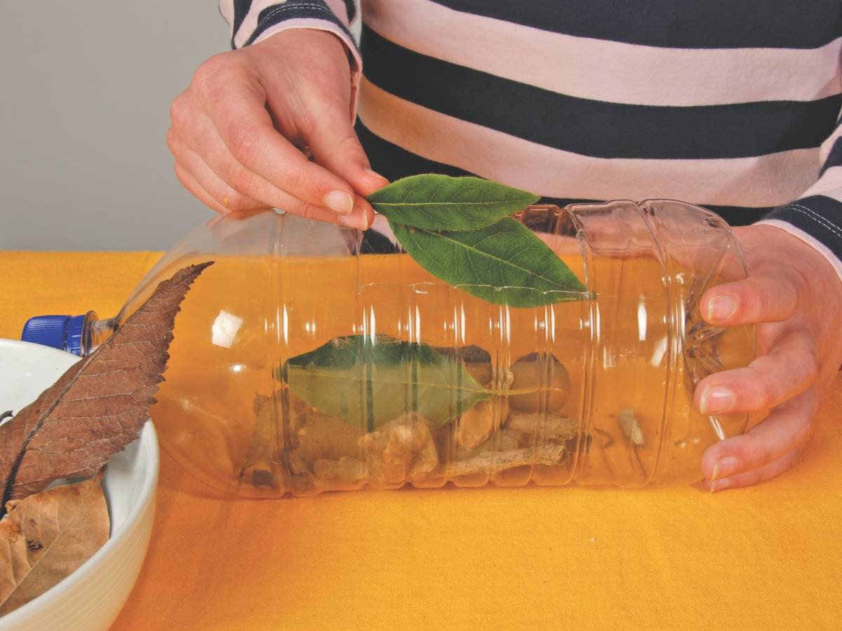 Person putting leaves in plastic bottle