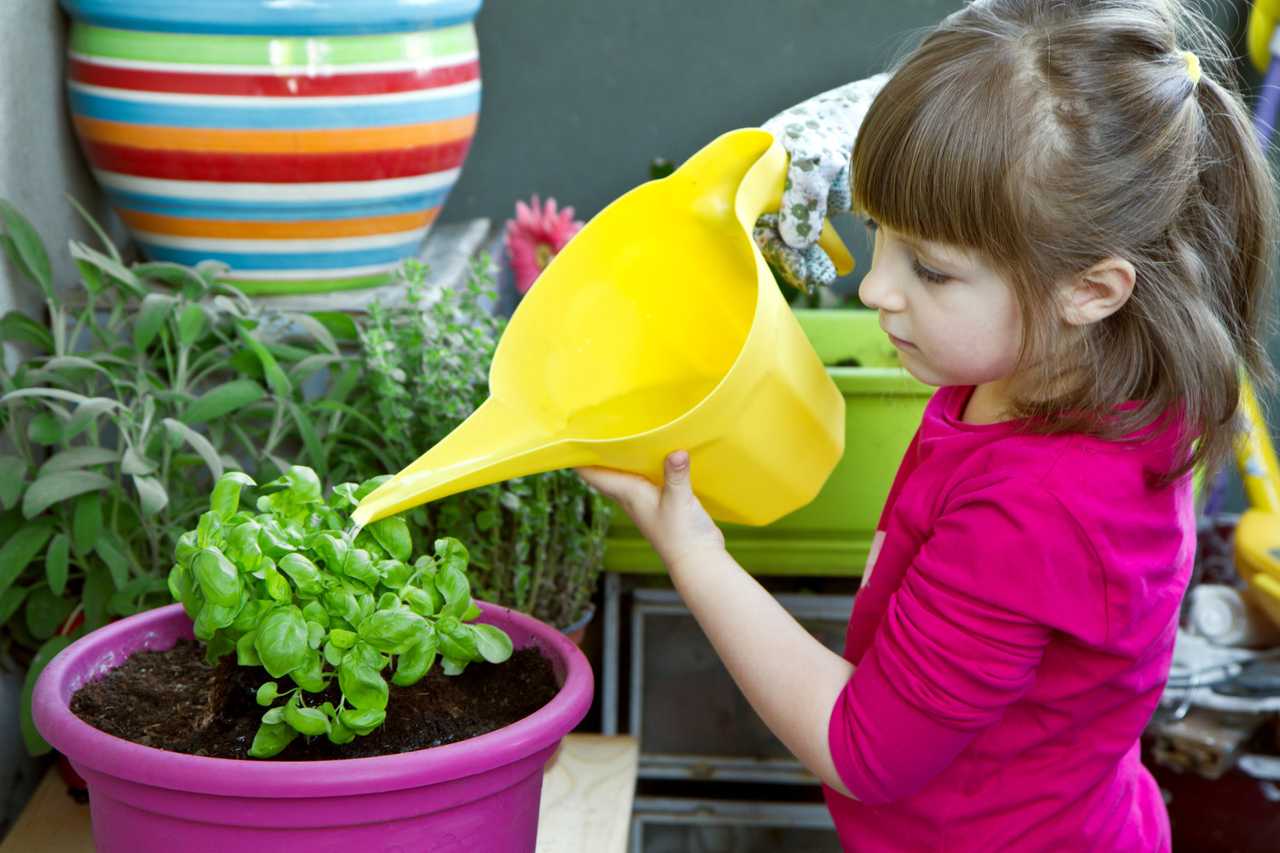 Herb Garden for Kids Growing Herbs with Kids Persil